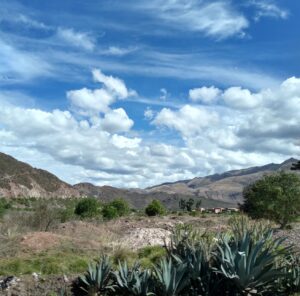 49ª Assembleia da CPAL fortalece compromissos e planeja futuro